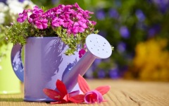 Desktop wallpaper. Flowers. ID:90847