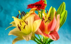 Desktop wallpaper. Flowers. ID:91985