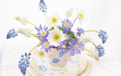 Desktop image. Flowers. ID:92676