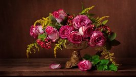 Desktop image. Flowers. ID:92681