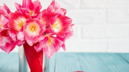 Desktop wallpaper. Flowers. ID:94903