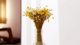Desktop wallpaper. Flowers. ID:95368