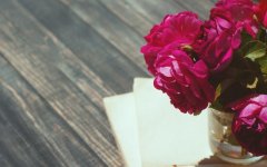 Desktop wallpaper. Flowers. ID:96016