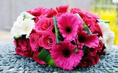 Desktop wallpaper. Flowers. ID:99426