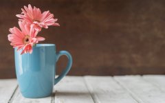 Desktop wallpaper. Flowers. ID:99483