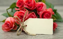 Desktop wallpaper. Flowers. ID:99756