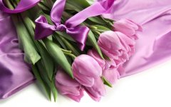 Desktop wallpaper. Flowers. ID:99853