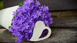Desktop wallpaper. Flowers. ID:99910