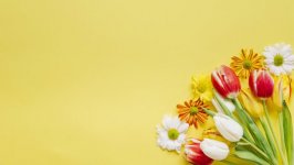 Desktop wallpaper. Flowers. ID:99957