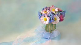 Desktop wallpaper. Flowers. ID:100050