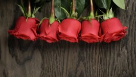Desktop wallpaper. Flowers. ID:100301