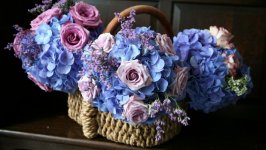 Desktop wallpaper. Flowers. ID:100652