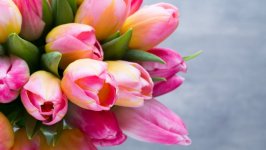 Desktop wallpaper. Flowers. ID:101847