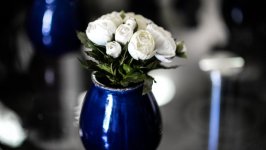 Desktop wallpaper. Flowers. ID:102024