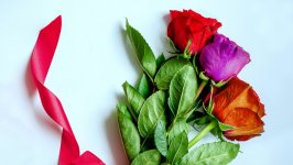 Desktop wallpaper. Flowers. ID:132985