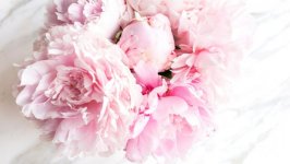 Desktop wallpaper. Flowers. ID:102129