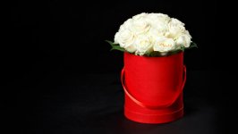 Desktop wallpaper. Flowers. ID:102345