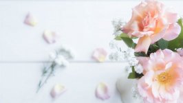 Desktop wallpaper. Flowers. ID:102447
