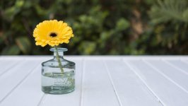 Desktop wallpaper. Flowers. ID:102769