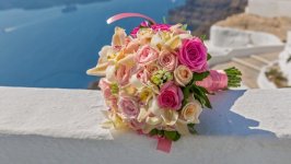 Desktop wallpaper. Flowers. ID:102897