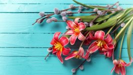 Desktop wallpaper. Flowers. ID:104057