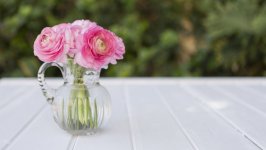 Desktop wallpaper. Flowers. ID:104327