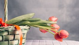 Desktop wallpaper. Flowers. ID:104863