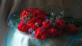 Desktop wallpaper. Flowers. ID:106283
