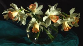 Desktop wallpaper. Flowers. ID:106284