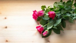 Desktop wallpaper. Flowers. ID:106432