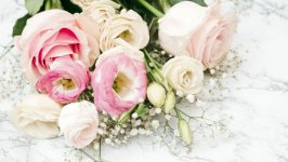 Desktop wallpaper. Flowers. ID:106861
