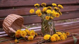 Desktop wallpaper. Flowers. ID:106979