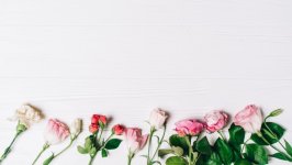 Desktop wallpaper. Flowers. ID:106981