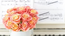 Desktop wallpaper. Flowers. ID:107163