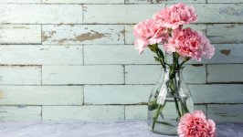 Desktop image. Flowers. ID:107571