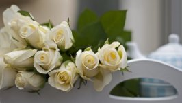 Desktop wallpaper. Flowers. ID:107622