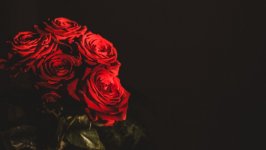 Desktop wallpaper. Flowers. ID:107754