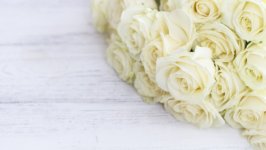 Desktop wallpaper. Flowers. ID:107774