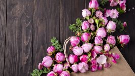 Desktop wallpaper. Flowers. ID:107949