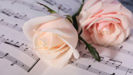 Desktop wallpaper. Flowers. ID:107954