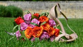 Desktop wallpaper. Flowers. ID:108345