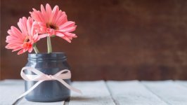 Desktop wallpaper. Flowers. ID:108523