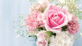 Desktop wallpaper. Flowers. ID:108800