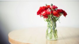 Desktop wallpaper. Flowers. ID:109021