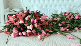 Desktop wallpaper. Flowers. ID:109182