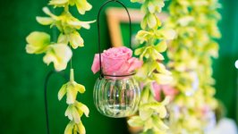 Desktop wallpaper. Flowers. ID:109660