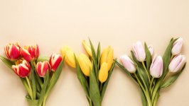 Desktop wallpaper. Flowers. ID:110622