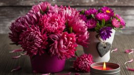 Desktop wallpaper. Flowers. ID:132366