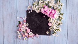 Desktop wallpaper. Flowers. ID:112898
