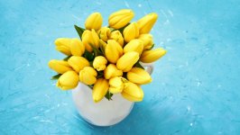 Desktop wallpaper. Flowers. ID:115955